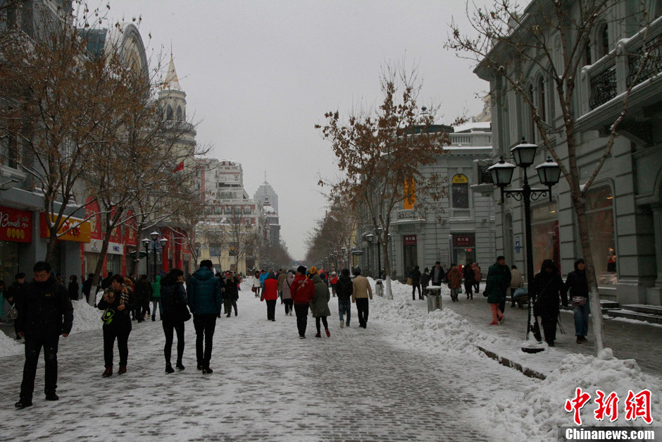 11��17���峿�������I�������ϵ����˲��]����齵ѩ���p�١�