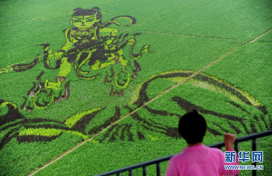 7��1����һλ���^�������p���顶��߸�[�����ľ��͵��ﮋ��