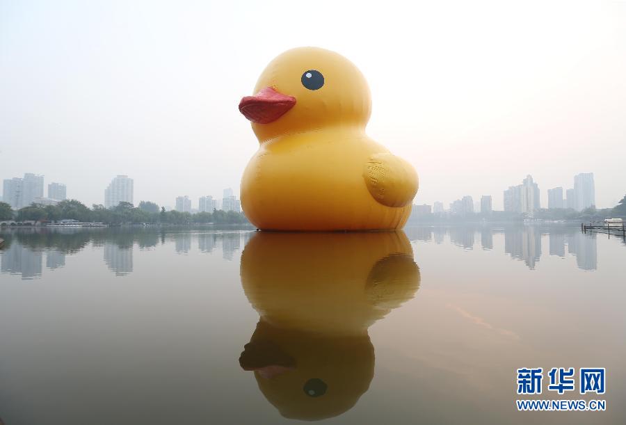 10��20���������S����Ư�����Ͼ�Ī����������գ��ɺ��mˇ�g�һ������OӋ�����桰���S���������Ͼ�Ī������c����Ҋ���� ���A��l������ �z��