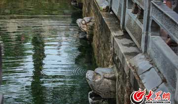 ��ͻȪˮλ�ل��µ� �ڻ�Ȫ�����^ͣ��