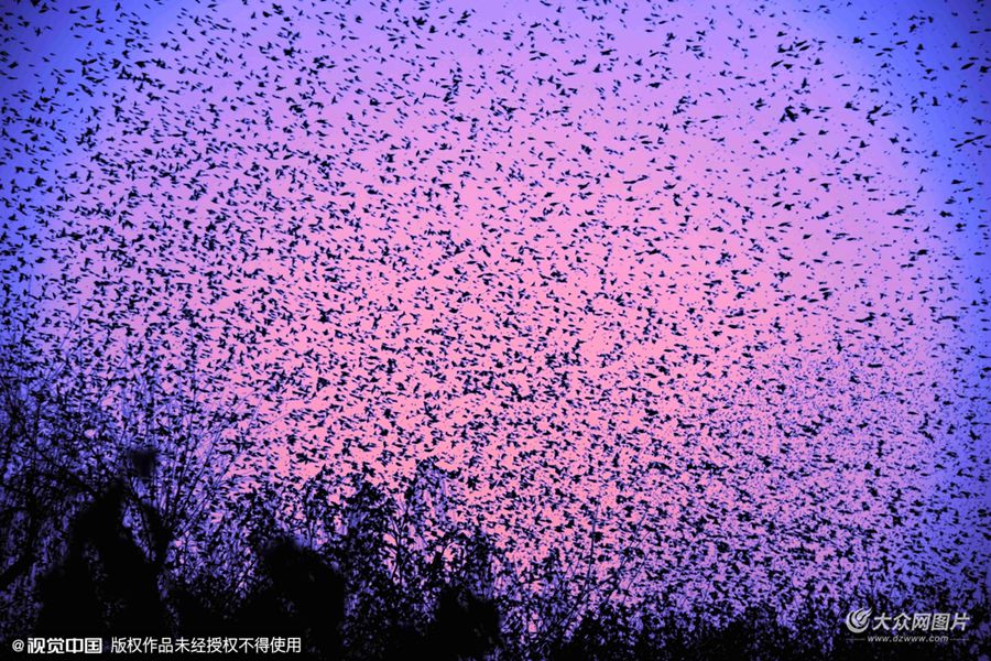 2016��02��02�գ�ɽ�|ʡ��(j��)���У�����ͻȪ���^(q��)�Ͽգ���(sh��)�fֻ���N�B�������бP�������ߖ|�L(f��ng)/ҕ�X�Ї���