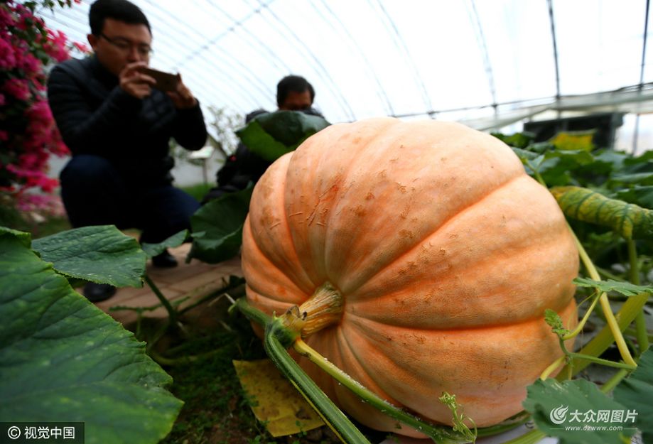 ���գ����u������ϵļ�ī�Ї����r(n��ng)�I(y��)���^(q��)�F(xi��n)���r(n��ng)�I(y��)ʾ���������M�ġ������Ϲϡ�ԇ�N�ɹ��������˱������^�������^�p��