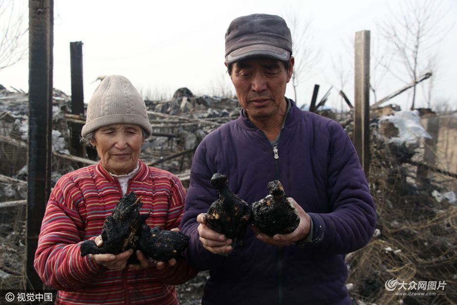 2��18��15�c30�����ң��I���ОI�ǅ^�ػ��_�l�n�^���山1000��̎��һ��������ı�����������2000��ֻ���ӣ��pʧ��20�fԪ��