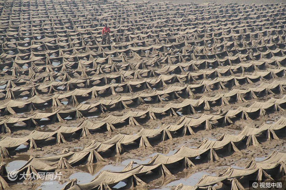 2017��4��3������ɽ�|�|�I(y��ng)�S���뺣�ڝ�ظ���������ɽ�|�|�I(y��ng)�����B(y��ng)ֳ���أ���(ch��ng)��ʮ�։��^����