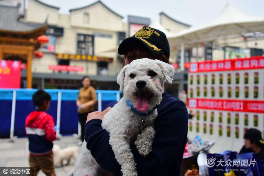 2017��4��15�գ�������ĳ�̘I�e�k�������BȮ��������У�һֻһ�q���cһֻ����Silence��С����Ȯ��ֻҪ����һ�Ӗ|��׌��һ��Ȼ����������������ҵ����ʴ_�ʰٷ�֮�٣�׌�F��������_�۽硣