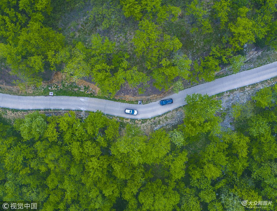 2018��5��12�գ�2018Ԋ(sh��)����ɽ�׌���ɽ���{���μ����A����(d��ng)�xʽ��ɽ�|�Rʏ�_(k��i)Ļ����(l��i)��ʡ��(n��i)���ص��ϰ��v���{܇����Խ�������۵�ɽ·����(ch��ng)���𺳉��^��