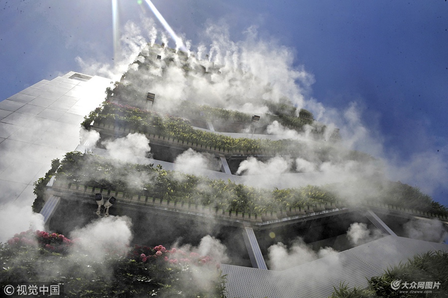 2018��6��10�գ��������ߘ����L�M�Gֲ��߀�M�@���F����һ��ֻ��6��Ķ�ҕ�l�ڶ������ˣ��W���uՓ�@�ǡ����Ĵ�ס�������䌍�@�������б���ʾ���օ^��һ̎���b�������Fɭϵ�y�����������ⴹֱ�G����