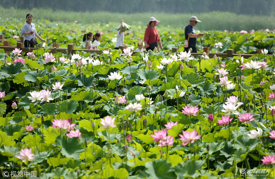 :2018��6��23����24�գ�ʢ�ĕr�����������\���ϵ�ɽ�|ʡ���f���_���f�\�ӝ�غɻ��`�����~�Z�ґ����˕����������ɾ�һ�㣬���ճ�һ�������c��Ȼ���C���������î�����