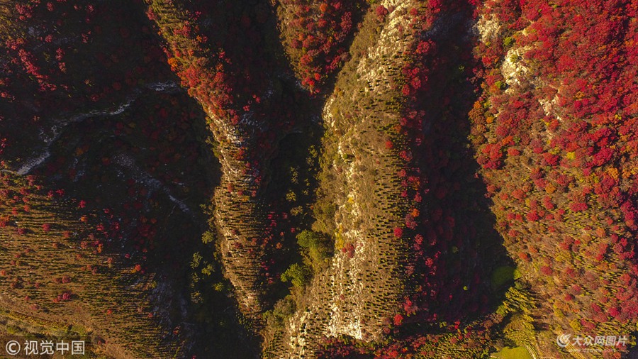 2018��10��18����ɽ�|�Ͳ�����Դ�h�P��ɽ��ɽ�t�~��