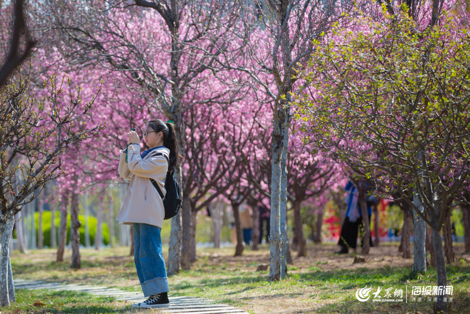 �D2 �ڝ��ϴ�W���mԷ�����_�M�@���S��ͬ�W�v����������.jpg