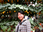 �ɕ����g���ݸ�����