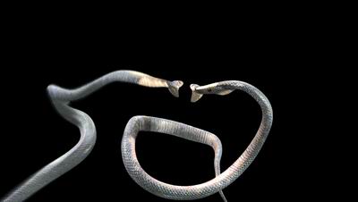 �C�����^������֮���gƪ--����������߾���