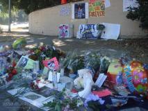 ����ֱ���ܿ��d��ǰ��լ�ʾ��_�����ξ�·(�D)