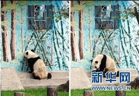 ����؈�^���՟oҕ������ ���T�󴵿��{��(�D)